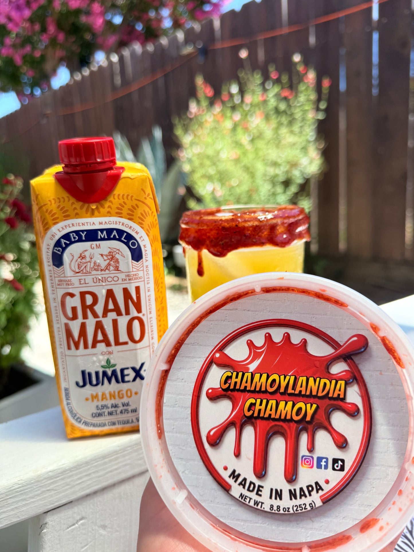 Chamoy Chamoylandia