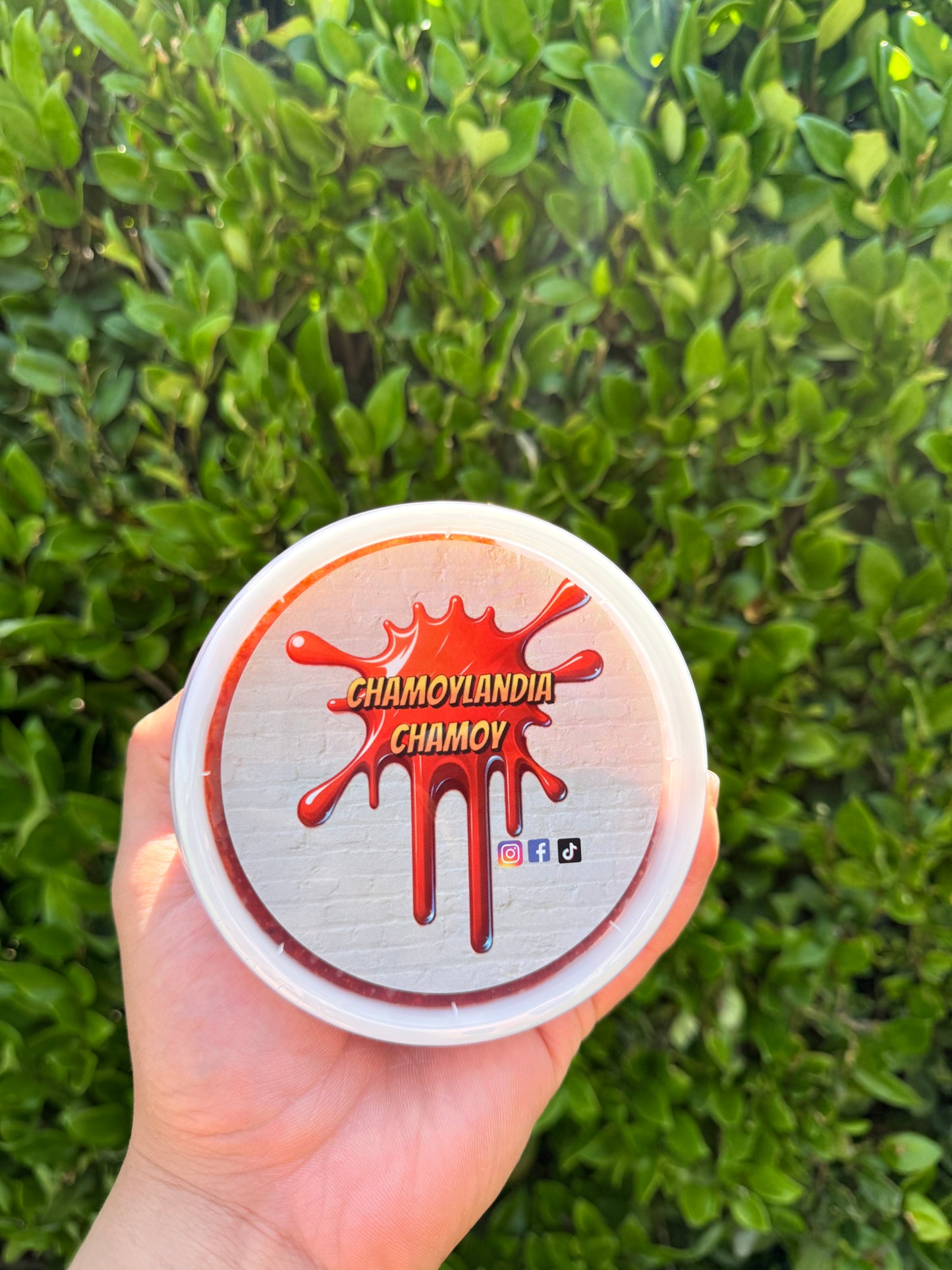 Chamoy Chamoylandia